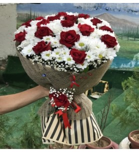Gül ve papatya dansı