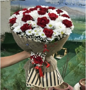 Gül ve papatya dansı
