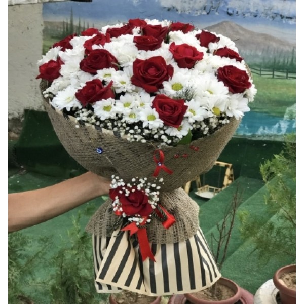 Gül ve papatya dansı